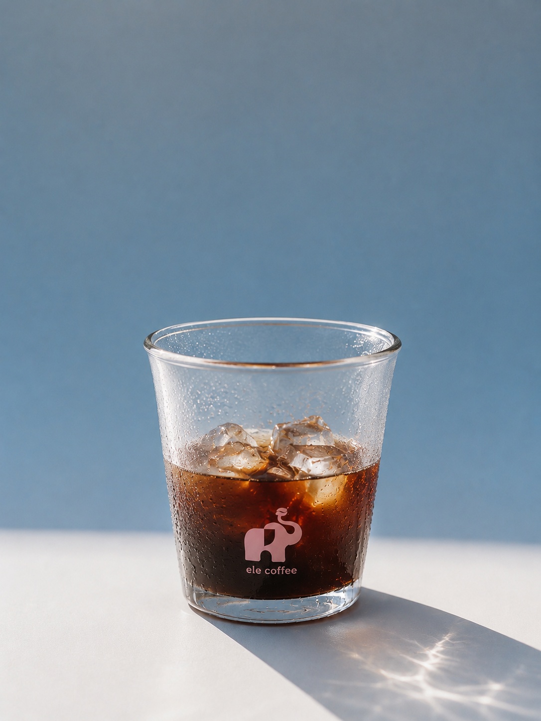 ELE COFFEE Freeze-Dried Cold Brew Coffee Packets– Dark Roast (15 Sticks)